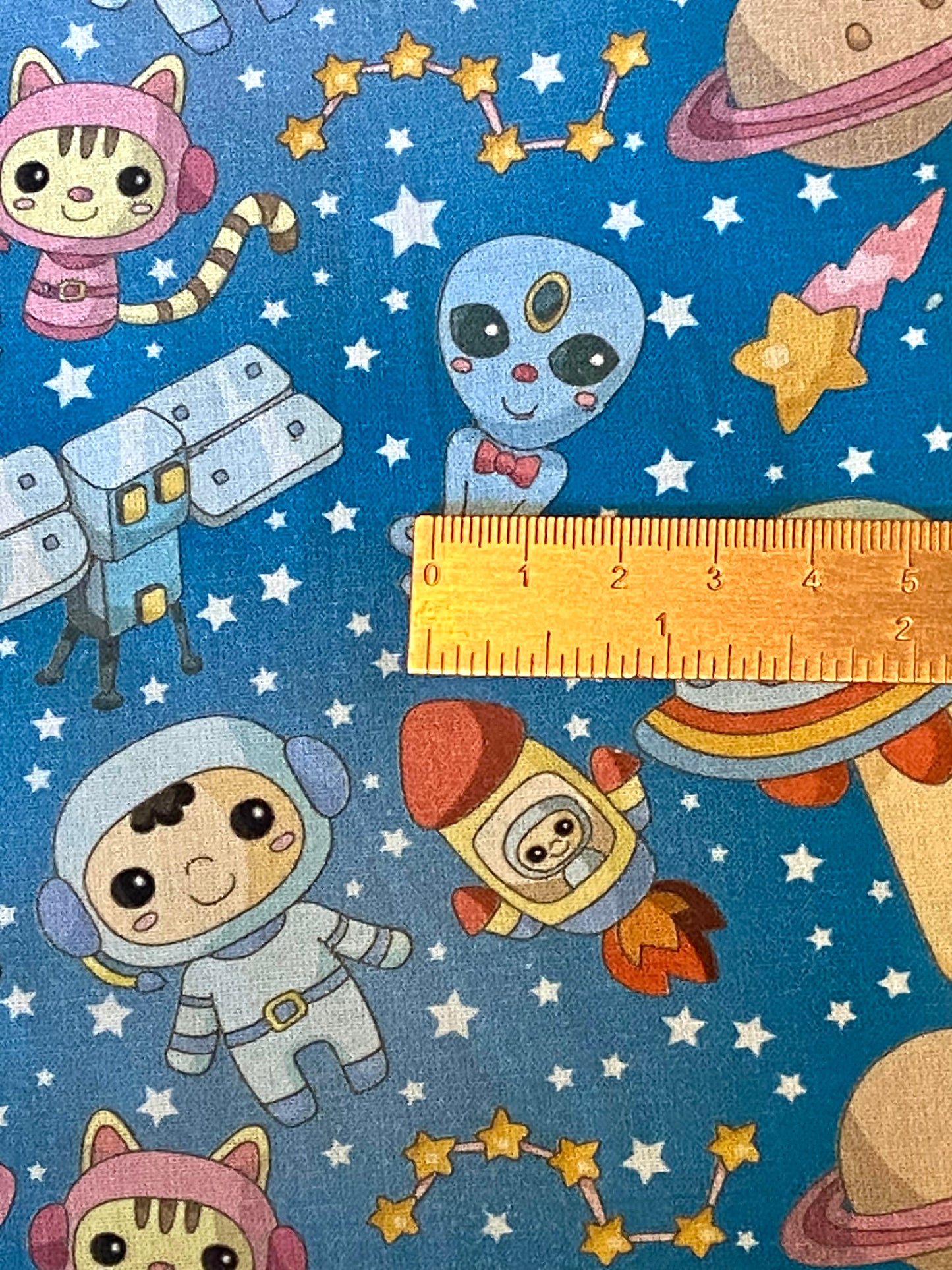 Astronaut Fabric
