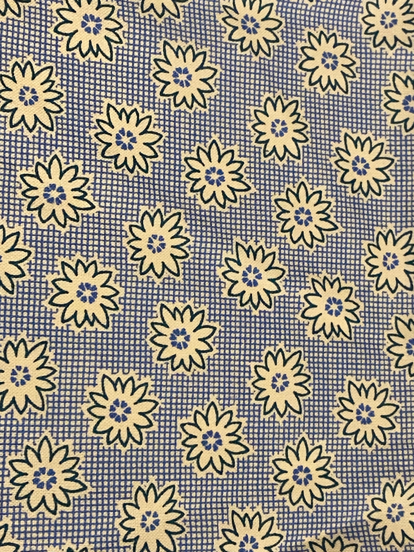 Blue Daisy 1930s 108" Quilt Backs - Fat Quarter