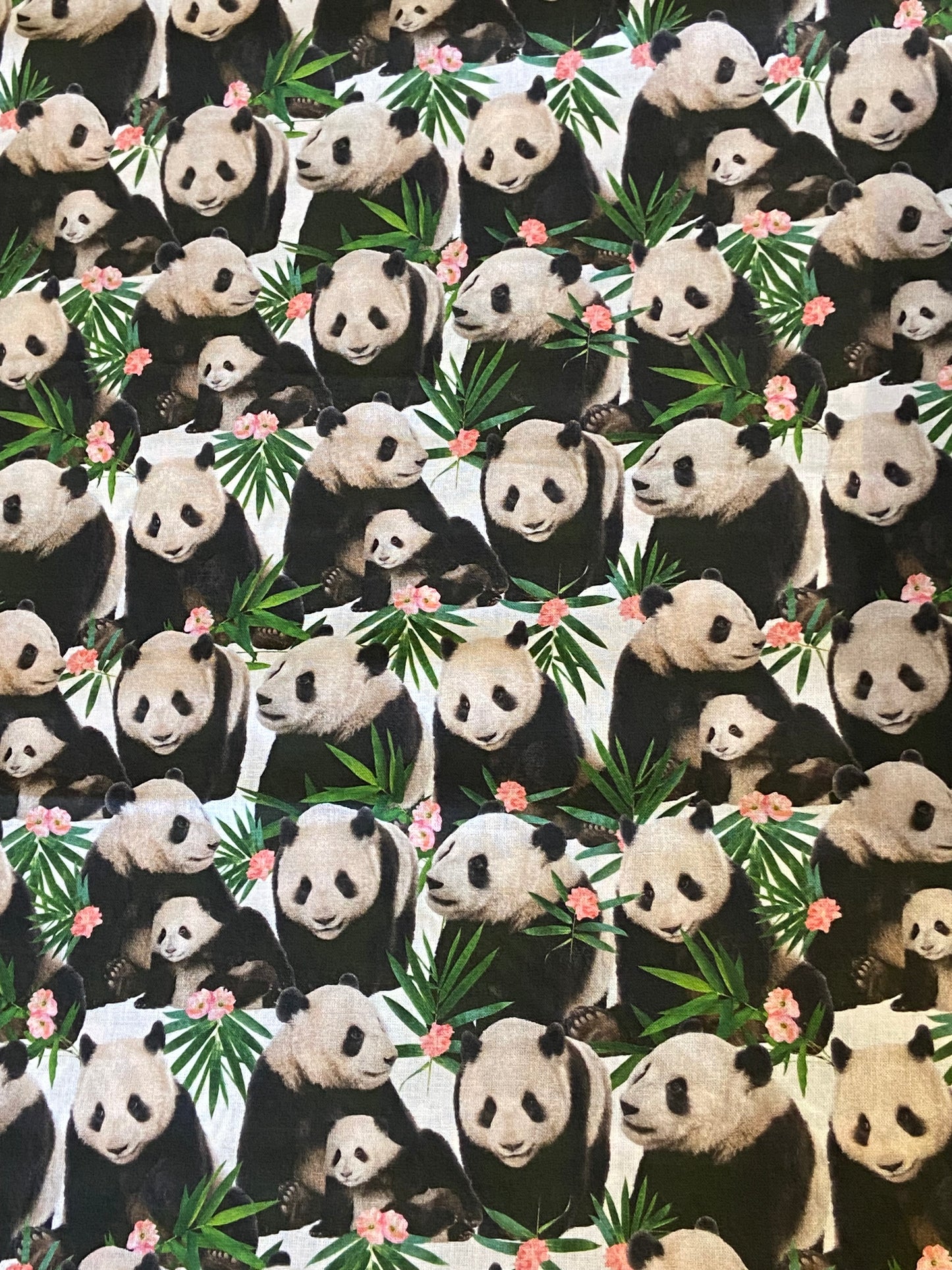 Panda Baby Print Fabric