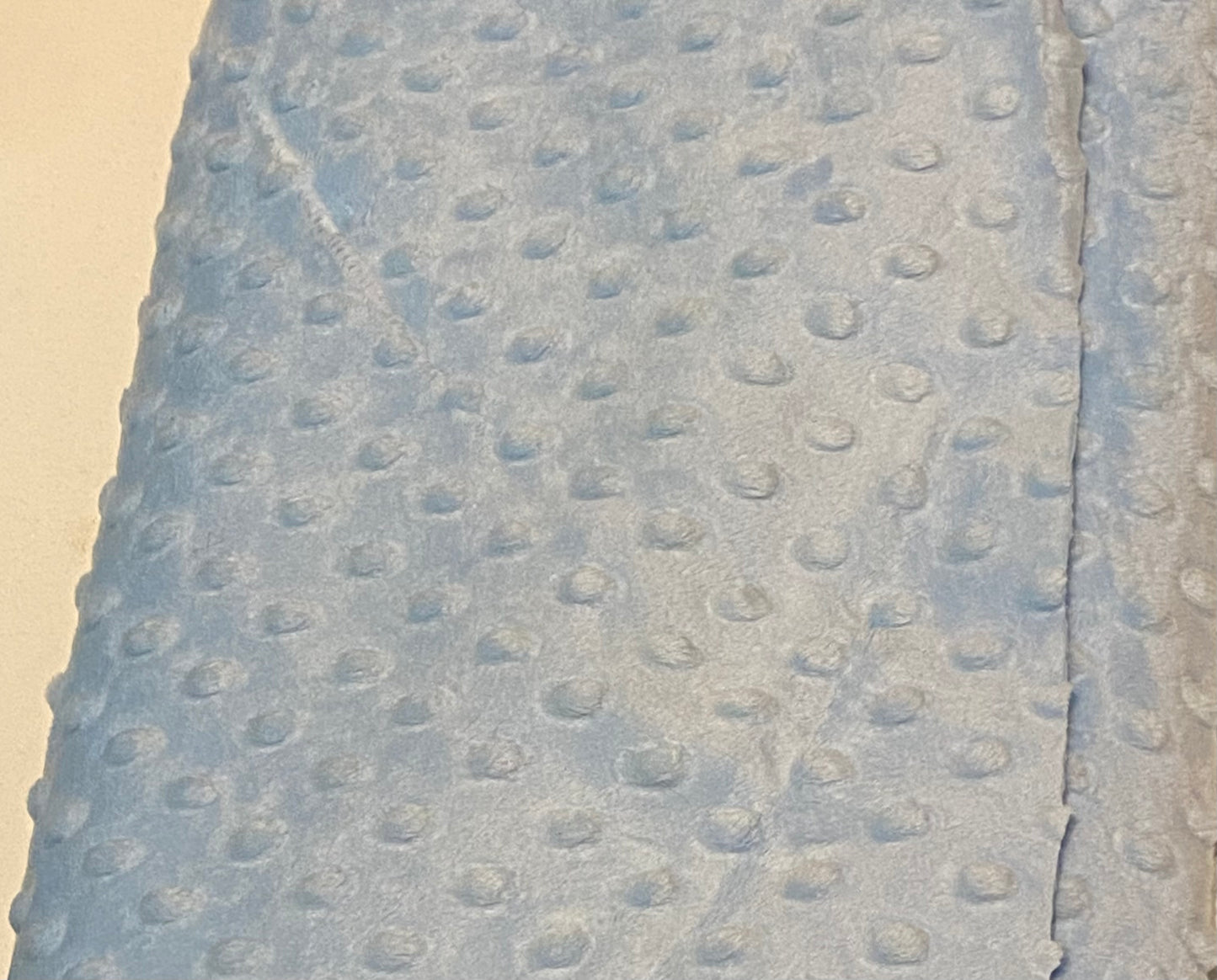 Minky Dimple Fleece in Baby Blue